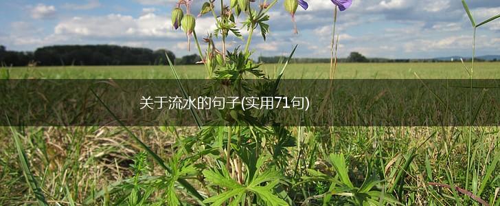 关于流水的句子(实用71句),第1张