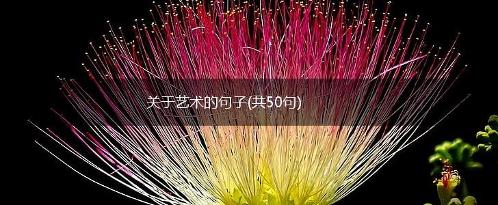 关于艺术的句子(共50句),第1张