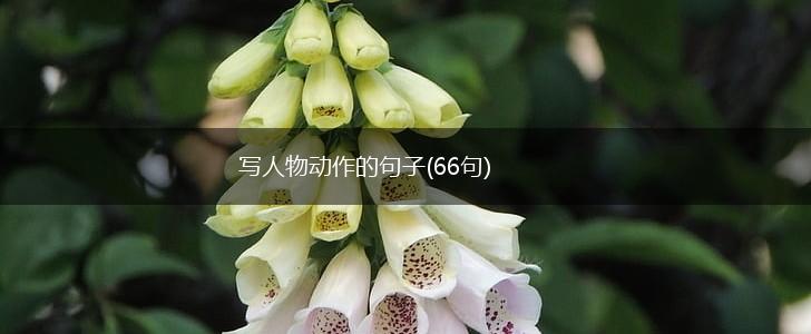 写人物动作的句子(66句),第1张
