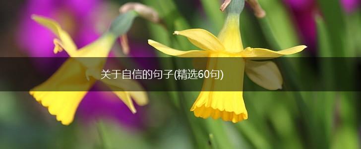 关于自信的句子(精选60句),第1张