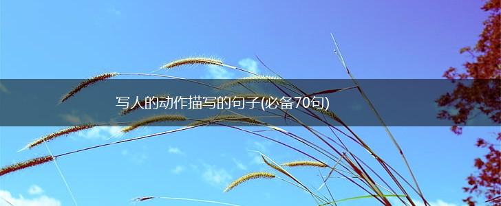 写人的动作描写的句子(必备70句),第1张