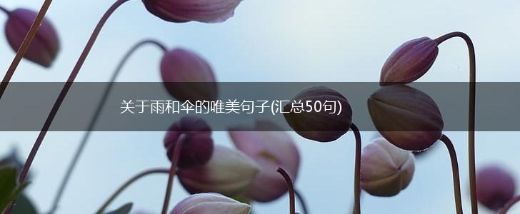 关于雨和伞的唯美句子(汇总50句),第1张