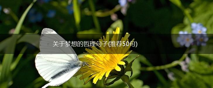 关于梦想的哲理句子(推荐50句),第1张