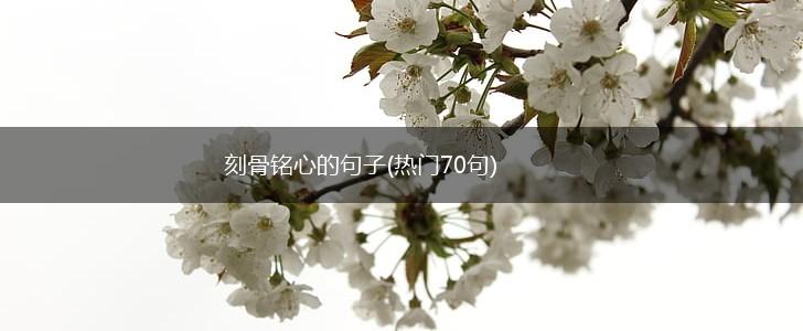 刻骨铭心的句子(热门70句),第1张
