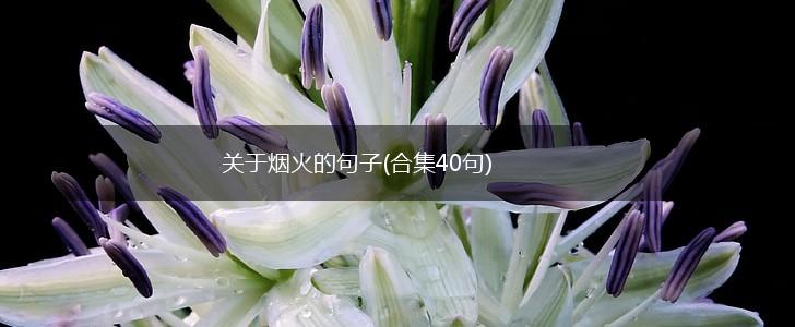 关于烟火的句子(合集40句),第1张