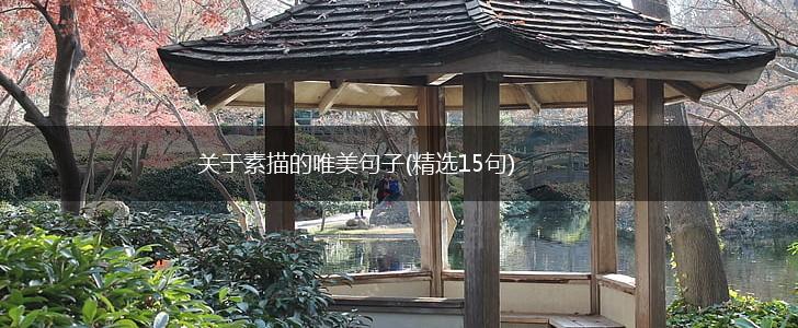 关于素描的唯美句子(精选15句),第1张