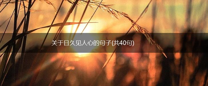 关于日久见人心的句子(共40句),第1张