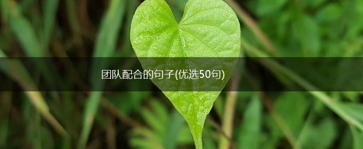 团队配合的句子(优选50句),第1张