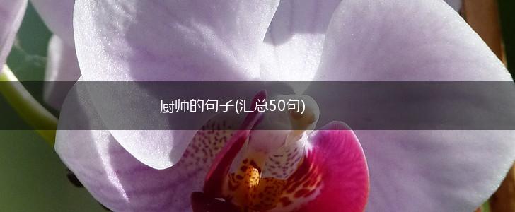 厨师的句子(汇总50句),第1张