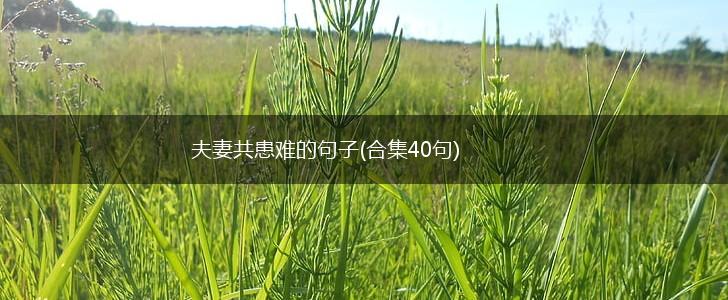 夫妻共患难的句子(合集40句),第1张