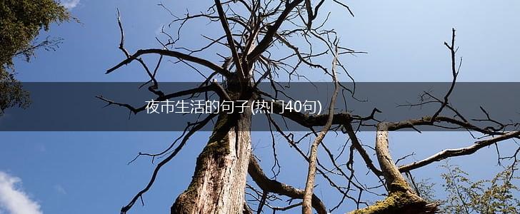 夜市生活的句子(热门40句),第1张