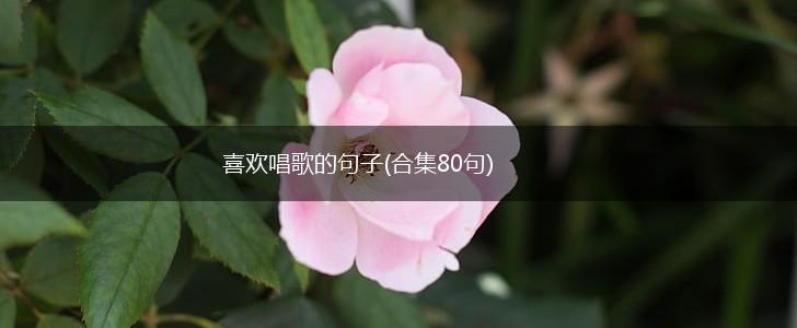 喜欢唱歌的句子(合集80句),第1张