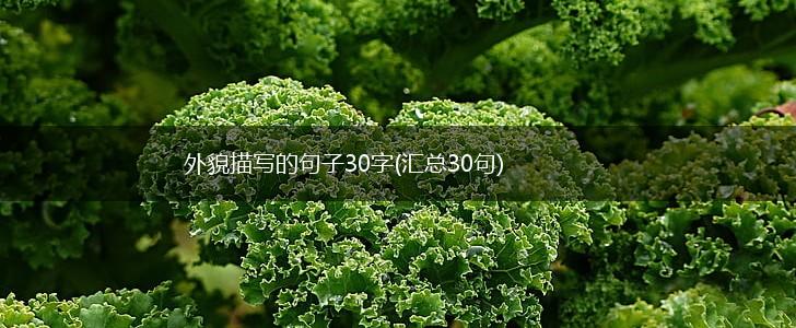 外貌描写的句子30字(汇总30句),第1张