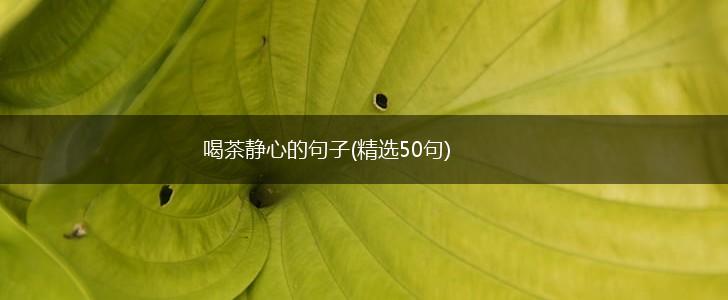 喝茶静心的句子(精选50句),第1张