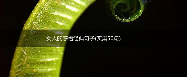 女人的感悟经典句子(实用50句),第1张