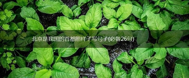 北京是我国的首都照样子写句子(必备26句),第1张