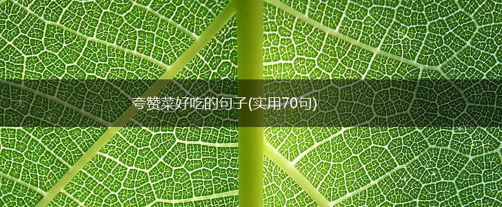 夸赞菜好吃的句子(实用70句),第1张