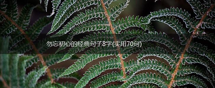 勿忘初心的经典句子8字(实用70句),第1张