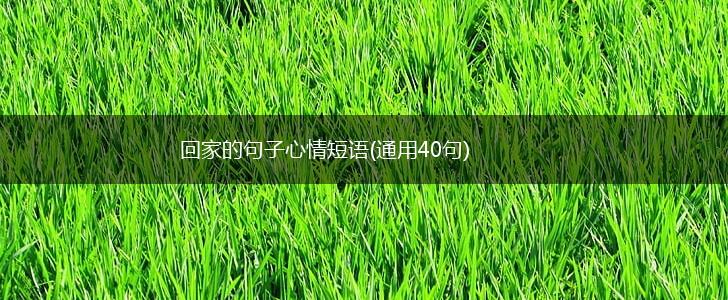 回家的句子心情短语(通用40句),第1张