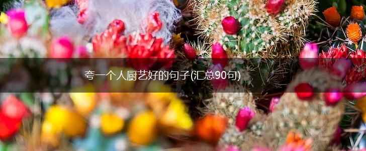 夸一个人厨艺好的句子(汇总90句),第1张