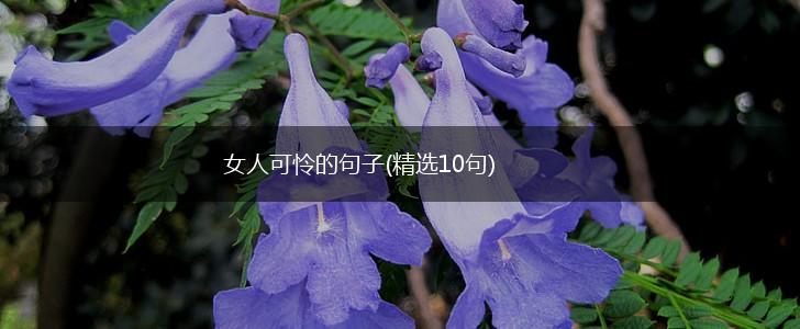 女人可怜的句子(精选10句),第1张