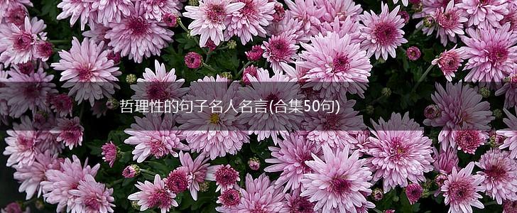 哲理性的句子名人名言(合集50句),第1张