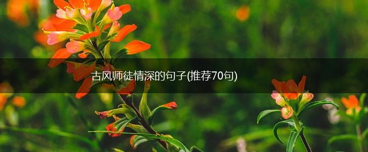古风师徒情深的句子(推荐70句),第1张