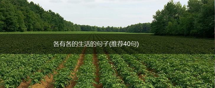 各有各的生活的句子(推荐40句),第1张