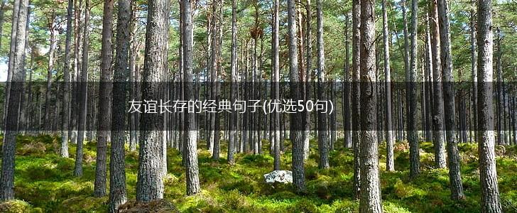 友谊长存的经典句子(优选50句),第1张