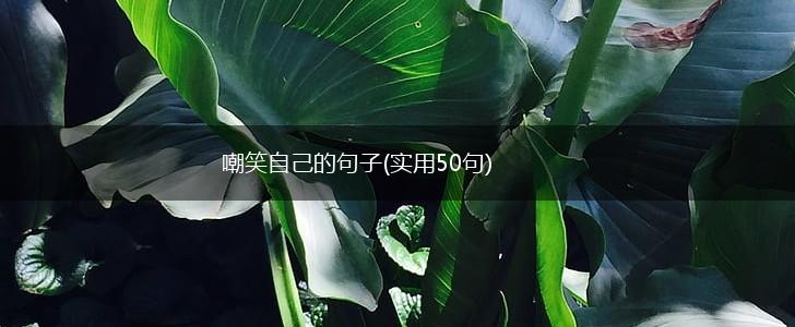 嘲笑自己的句子(实用50句),第1张