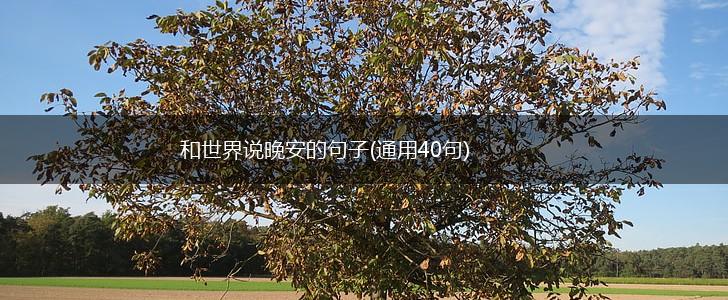 和世界说晚安的句子(通用40句),第1张