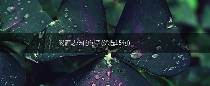 喝酒悲伤的句子(优选15句),第1张