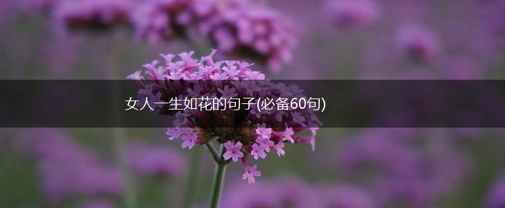 女人一生如花的句子(必备60句),第1张
