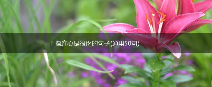 十指连心是很疼的句子(通用50句),第1张