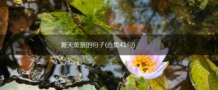 夏天美景的句子(合集41句),第1张
