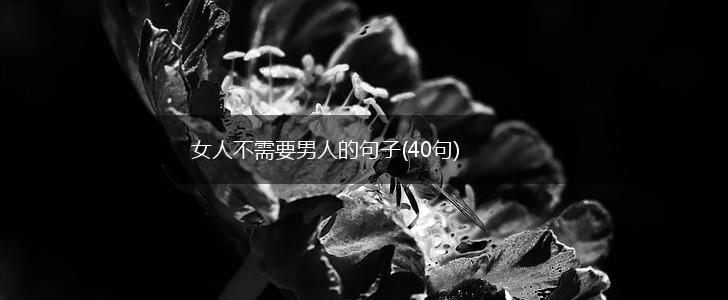 女人不需要男人的句子(40句),第1张