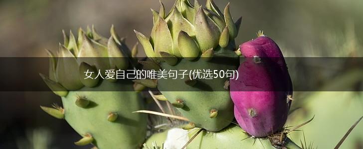 女人爱自己的唯美句子(优选50句),第1张