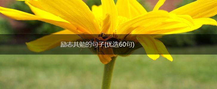 励志共勉的句子(优选60句),第1张
