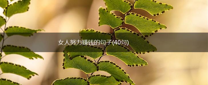女人努力赚钱的句子(40句),第1张