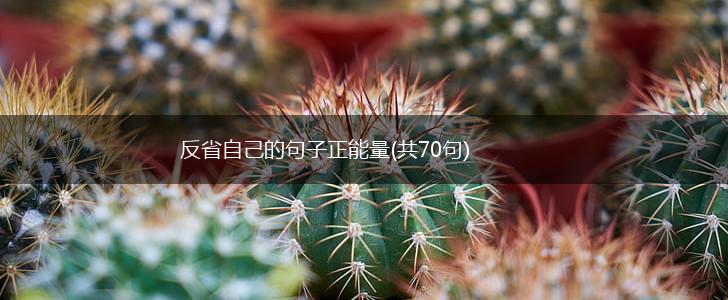 反省自己的句子正能量(共70句),第1张