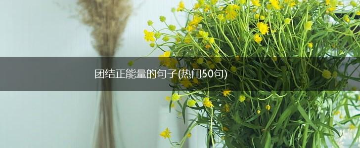 团结正能量的句子(热门50句),第1张