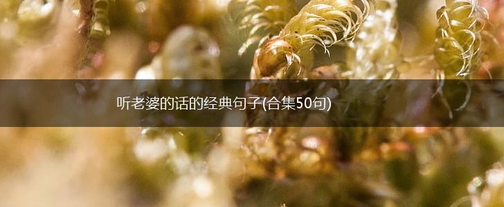 听老婆的话的经典句子(合集50句),第1张