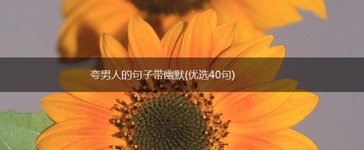 夸男人的句子带幽默(优选40句),第1张