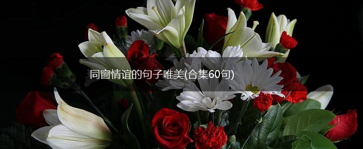 同窗情谊的句子唯美(合集60句),第1张