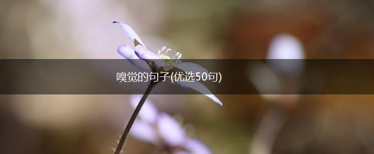 嗅觉的句子(优选50句),第1张