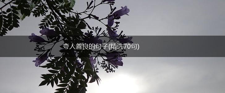 夸人善良的句子(精选70句),第1张