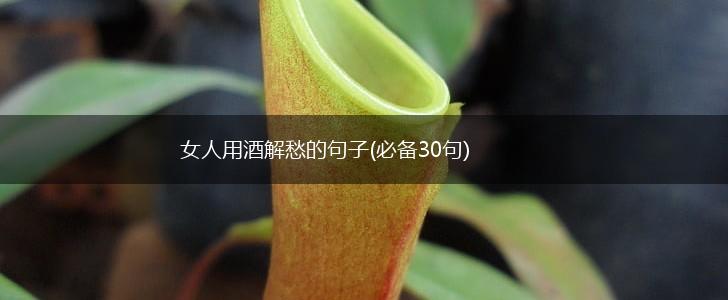 女人用酒解愁的句子(必备30句),第1张