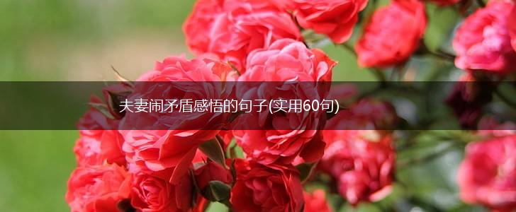 夫妻闹矛盾感悟的句子(实用60句),第1张
