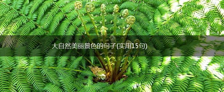 大自然美丽景色的句子(实用15句),第1张