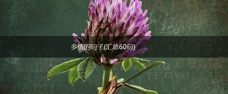 多情的句子(汇总60句),第1张